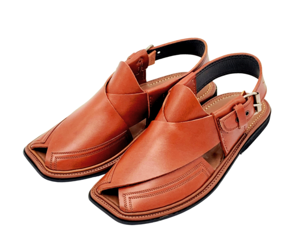Premium Goltee Takidar Mustard (Burgundy) - Image 4
